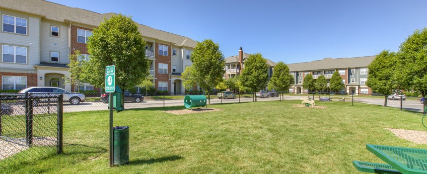 Picture of dog park in our Westfield apartment community